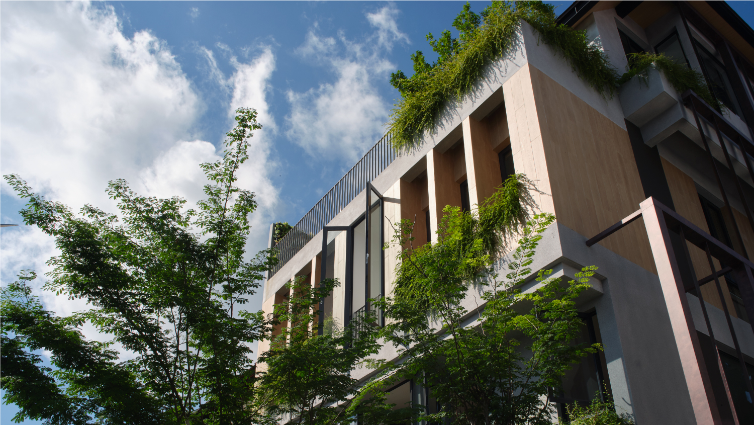 The Outdoor House, a landed home by Quod Architects on Coronation Road